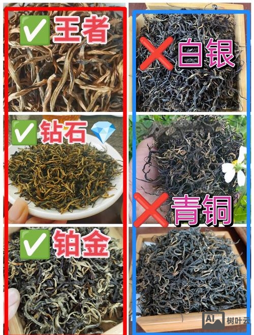 英红九号等级 如何分