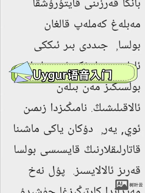 维语词语音节如何划分