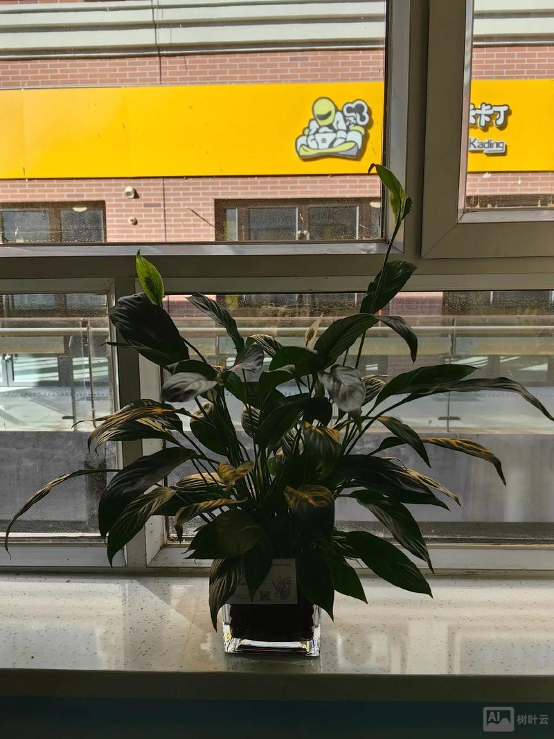 58招才猫怎么招聘