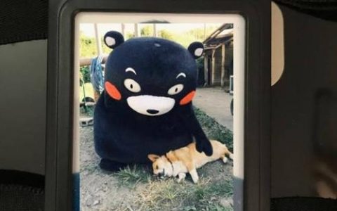 智联招聘邮箱怎么取消，智联招聘邮箱怎么取消？