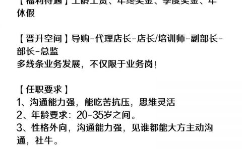 苹果 招聘 专家，苹果招聘专家，为AI还是造车？