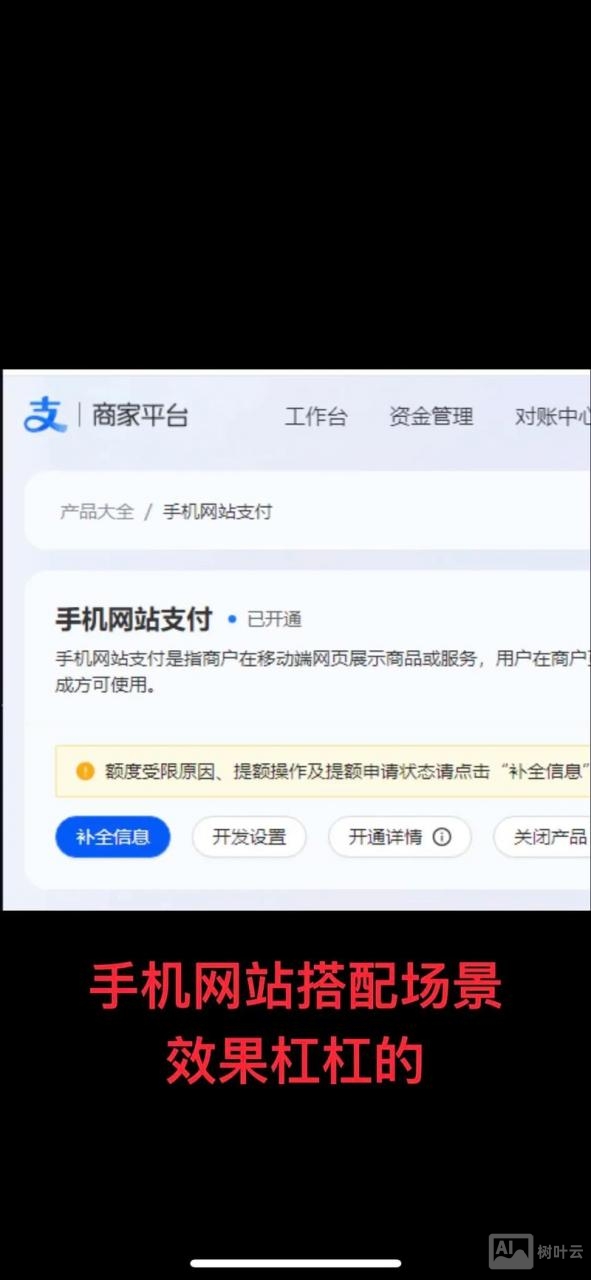 商城网站如何用支付宝