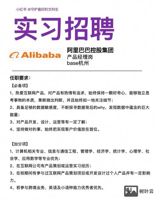 阿里巴巴招聘什么专业