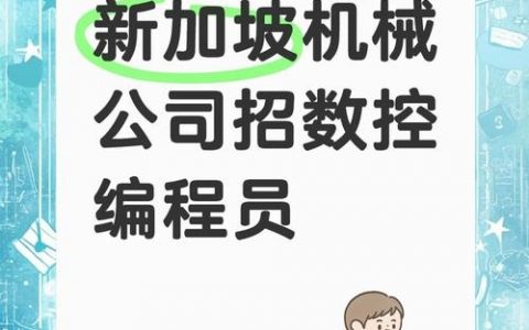 大型招聘 编程，大型编程招聘，岗位需求与技能匹配度如何？