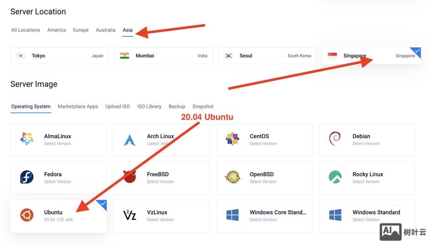 vps如何建两个网站