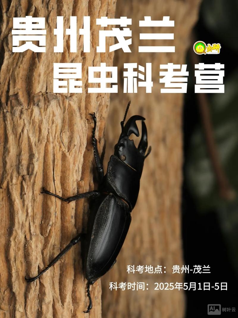 工作虫招聘靠谱么