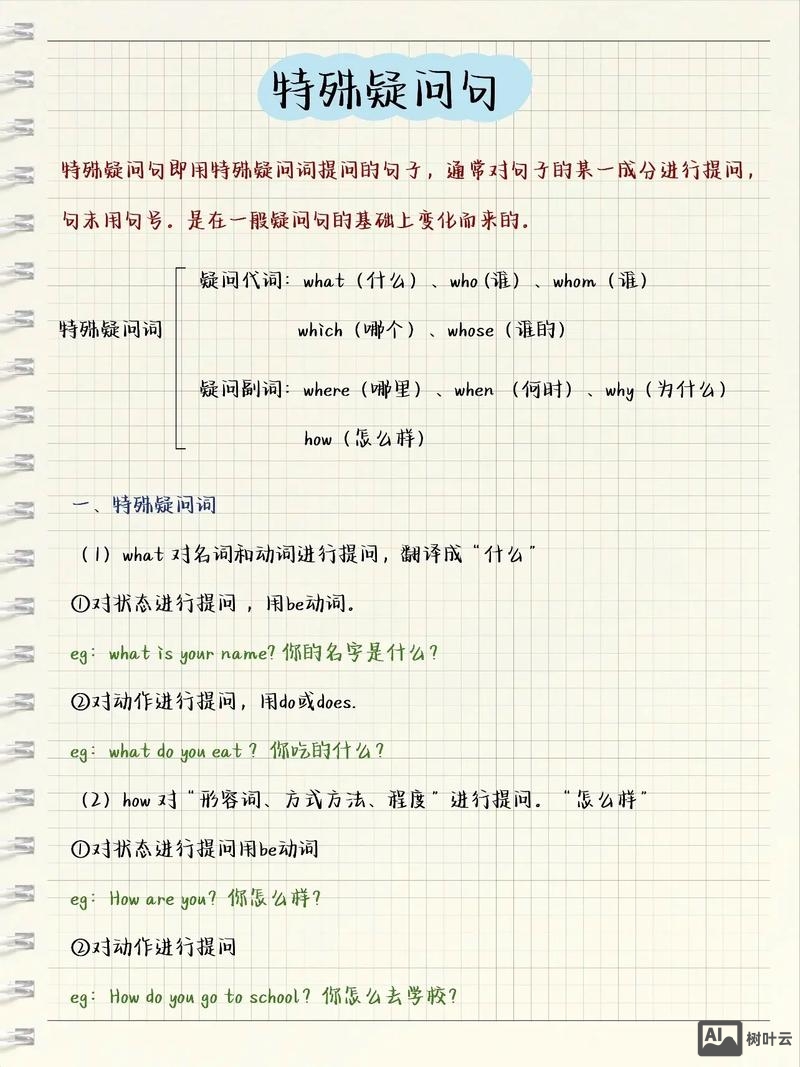 如何检查特殊疑问句对错