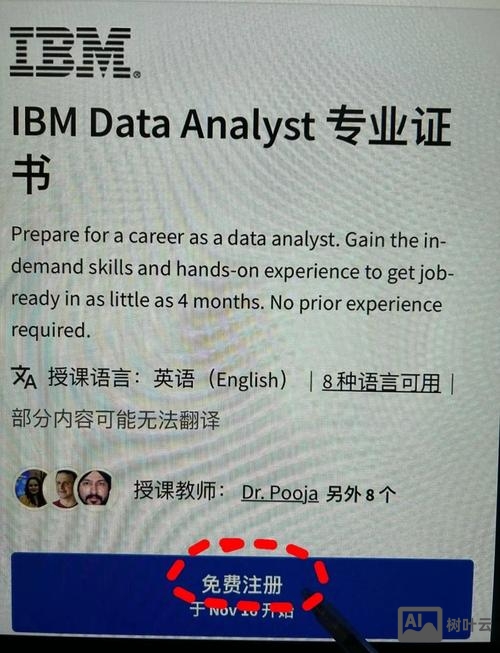 ibm招聘评估