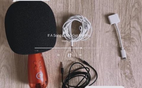 唱吧小巨蛋如何辨真伪，唱吧小巨蛋怎么辨真假？