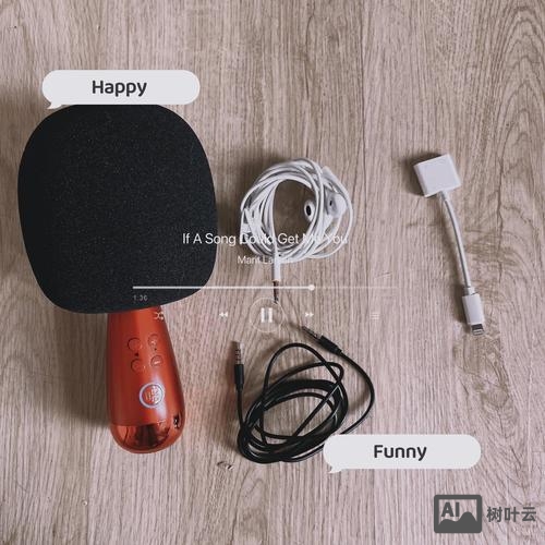 唱吧小巨蛋如何辨真伪