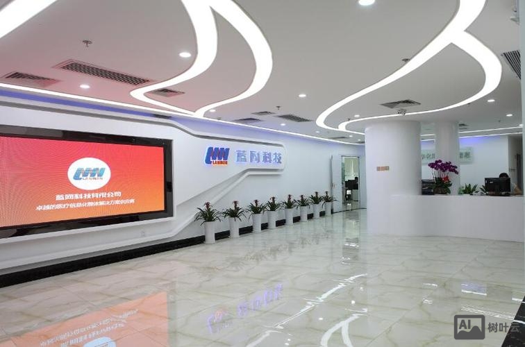 蓝网科技有限公司如何