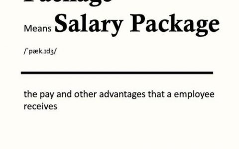 招聘ssp是什么意思，招聘SSP是什么意思？