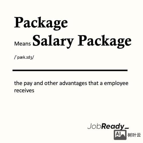 招聘ssp是什么意思