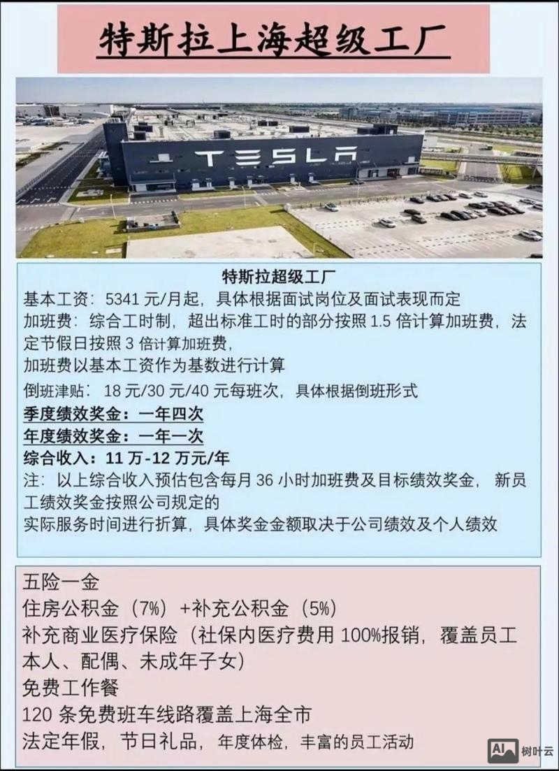 特斯拉 招聘条件