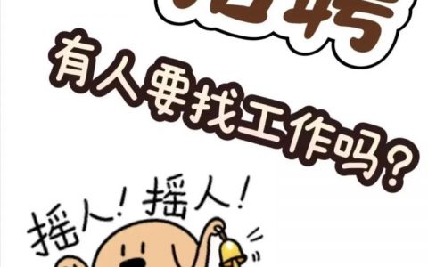 kiwi PR招聘，kiwi PR招聘，具体要求有哪些？