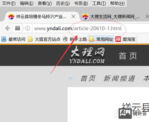 网站如何写伪静态页面
