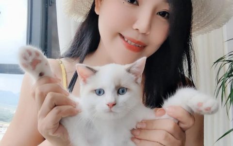 招财猫怎么发布招聘的，招财猫招聘怎么发？企业发布流程是怎样的？