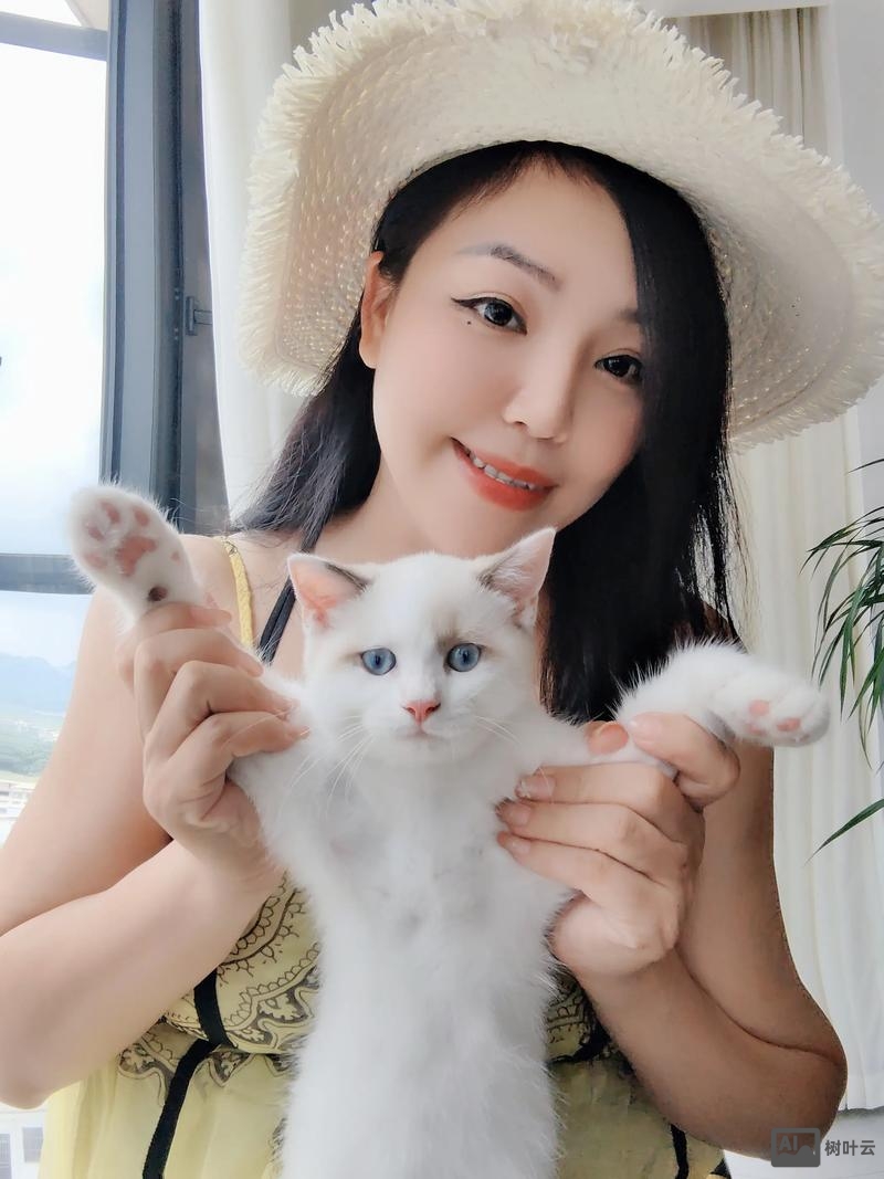 招财猫怎么发布招聘的