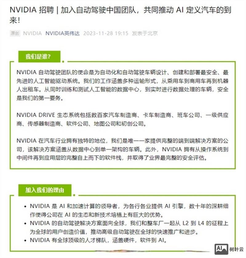 nvidia怎么招聘