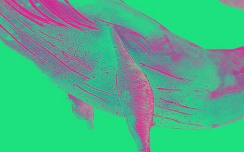 如何用ps做出炫酷背景，PS炫酷背景怎么做？技巧有哪些？