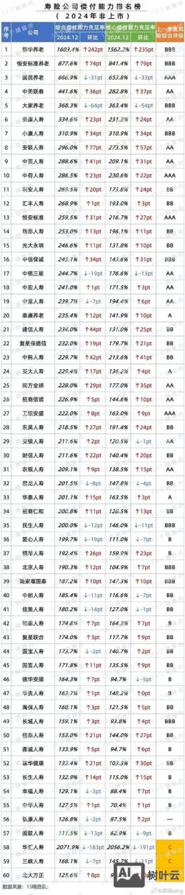 保险公司如何成网建设