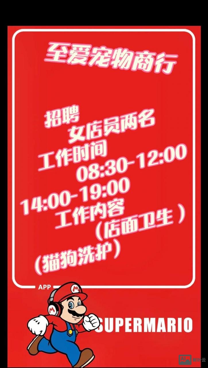 怎么打招聘电话