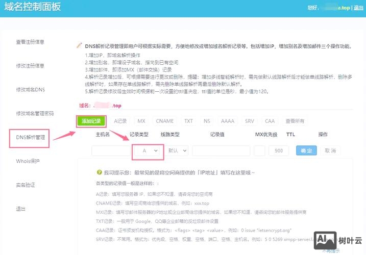 中企动力如何解析域名