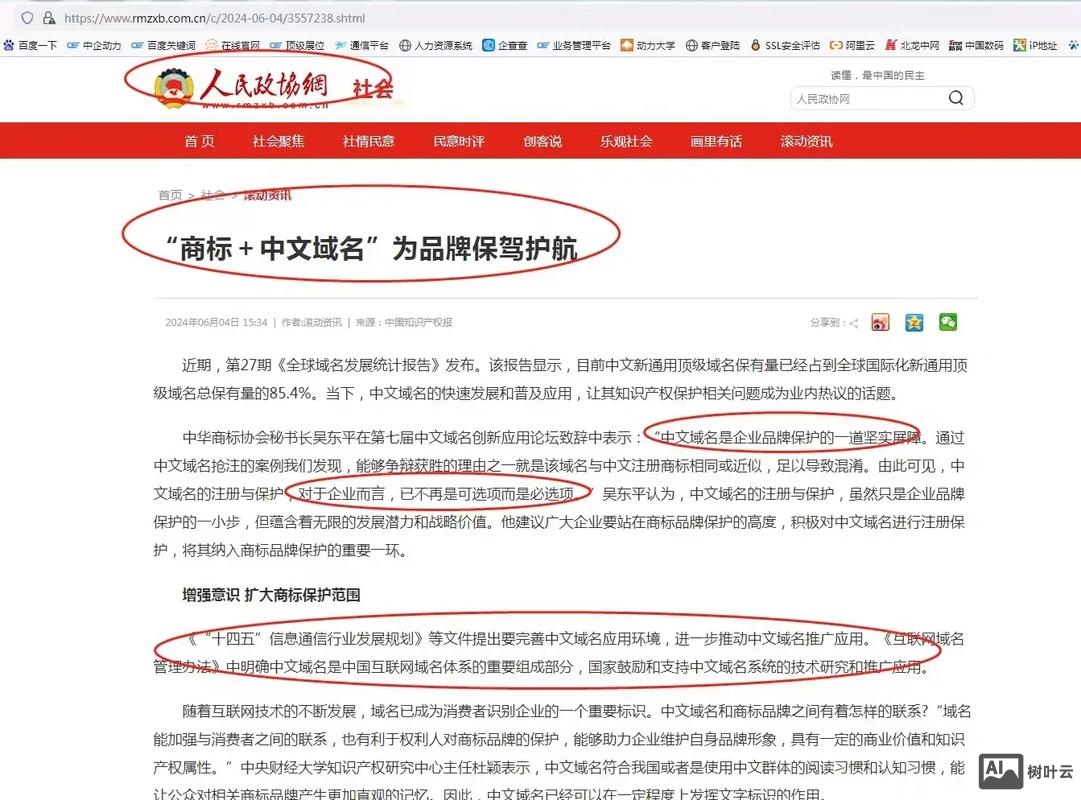 中企动力如何解析域名