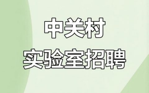 定位中关村招聘，定位中关村招聘，为何能吸引顶尖人才？