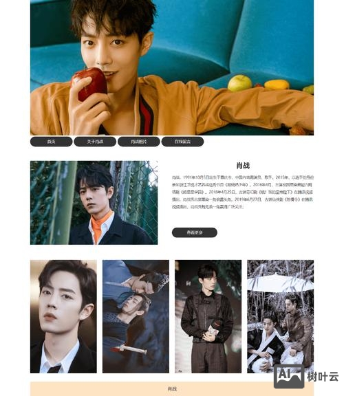 如何做像明星网页