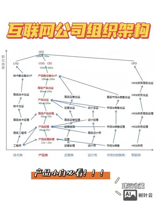互联网分公司如何组建