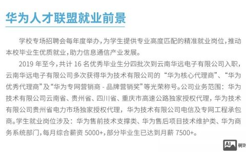 华为 芯片 招聘，华为芯片招聘，是技术突围还是人才储备？