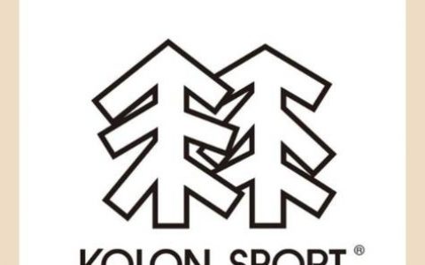 招聘 sp是什么，招聘中的SP具体指什么岗位或职责？