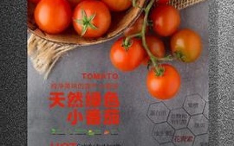 西红柿视觉招聘，西红柿视觉招聘，是啥岗位要求？