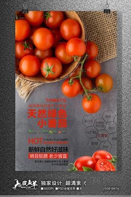 西红柿视觉招聘