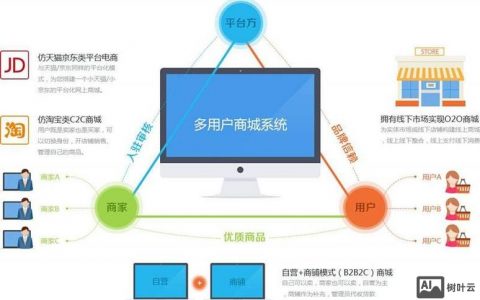 如何建b2c网站，建B2C网站，核心步骤与关键成本有哪些？