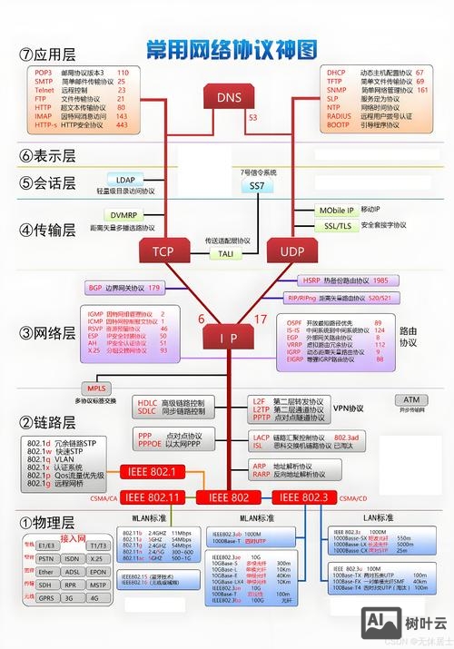 如何组建网络开发公司