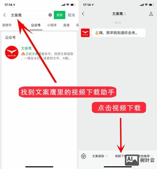 如何查看动易版本号