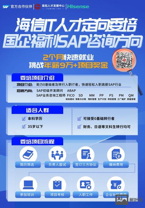 sapfico顾问招聘