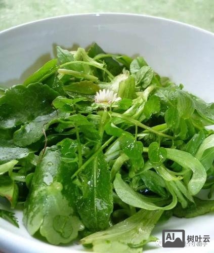 香草招聘是什么