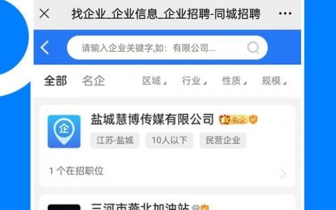 公司招聘用什么软件，招聘软件选哪家？好用不踩坑？