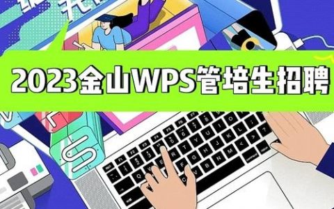 大型招聘wps，大型招聘WPS，岗位有哪些？薪资如何？
