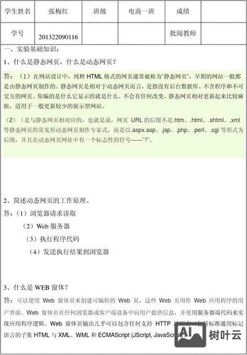 如何写制作网页的报告