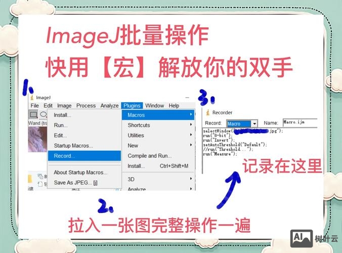 iis6.0如何开启fsockopen函数