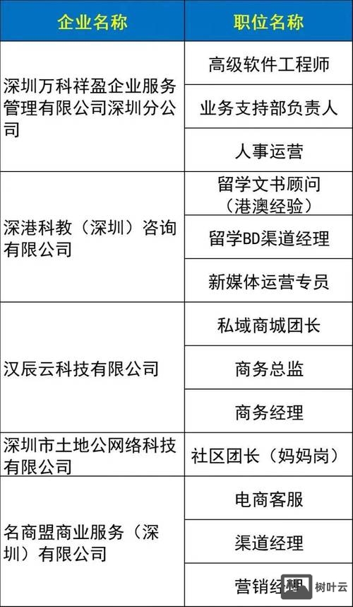 excelpoint深圳招聘