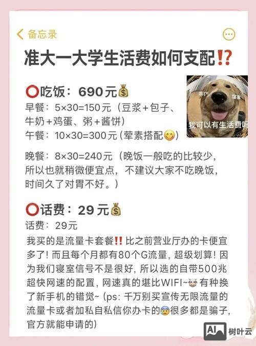 生活费不够该如何表达