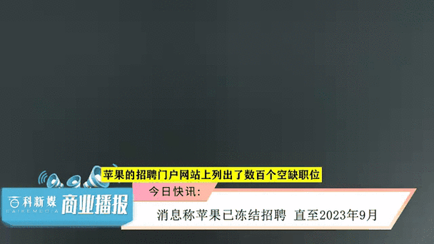 冻结招聘什么意思