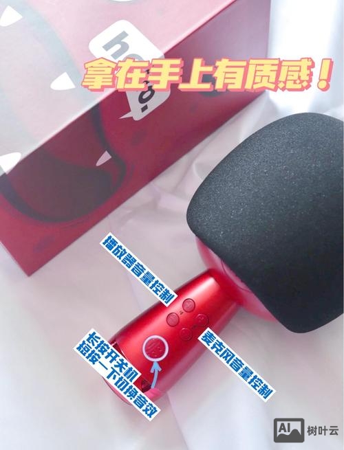 如何使用小巨蛋麦克风