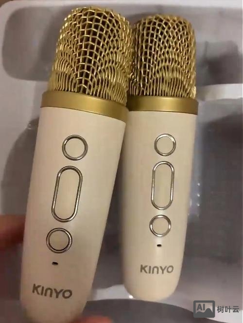 如何使用小巨蛋麦克风