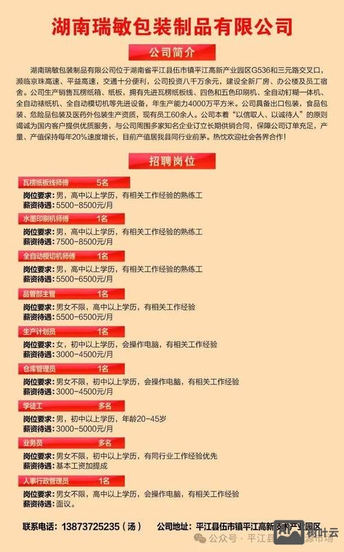 招聘sp什么意思